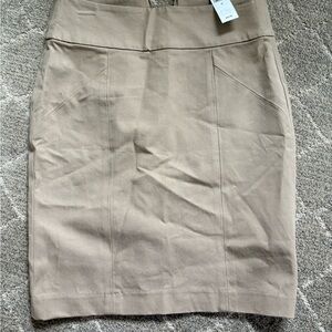Banana Republic Pencil Skirt